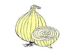 pcc onion logo